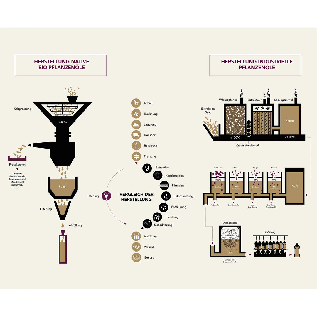Infografik zur Herstellung von nativem Speiseöl I www.bio-vivo.ch